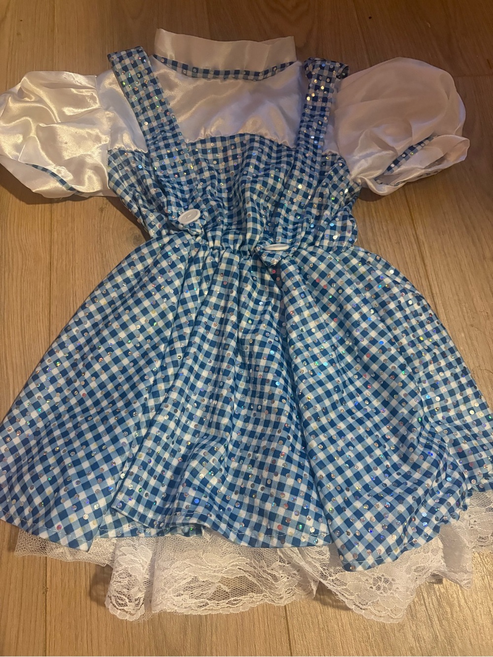Wizard of Oz Dorthy’s costume  dress